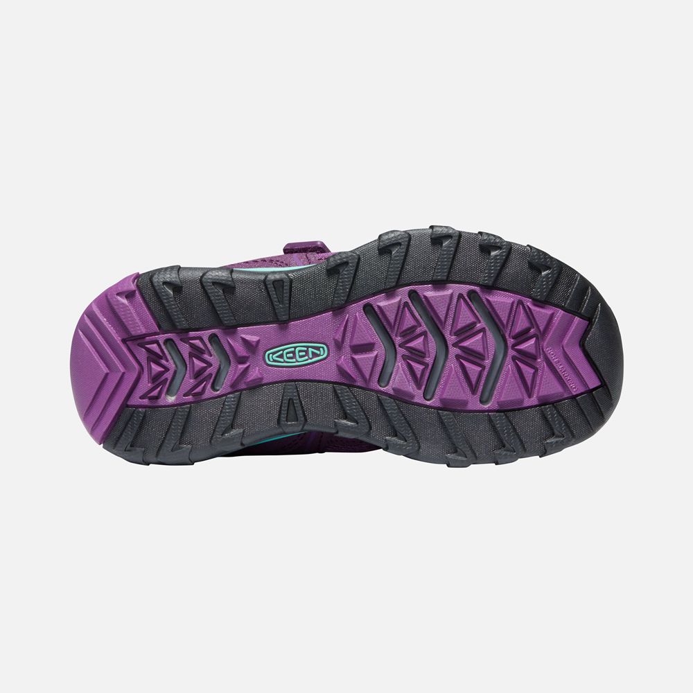 Zapatillas Keen Mexico Morados - Niños Terradora Ii Sport Vent Shoes - DN4320867